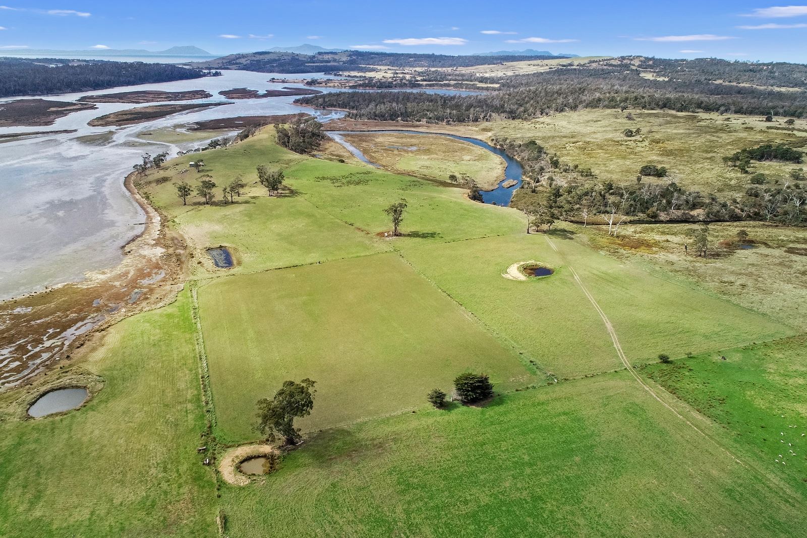Fifth view of Homely rural property listing, 10282 Tasman Highway, Little Swanport TAS 7190
