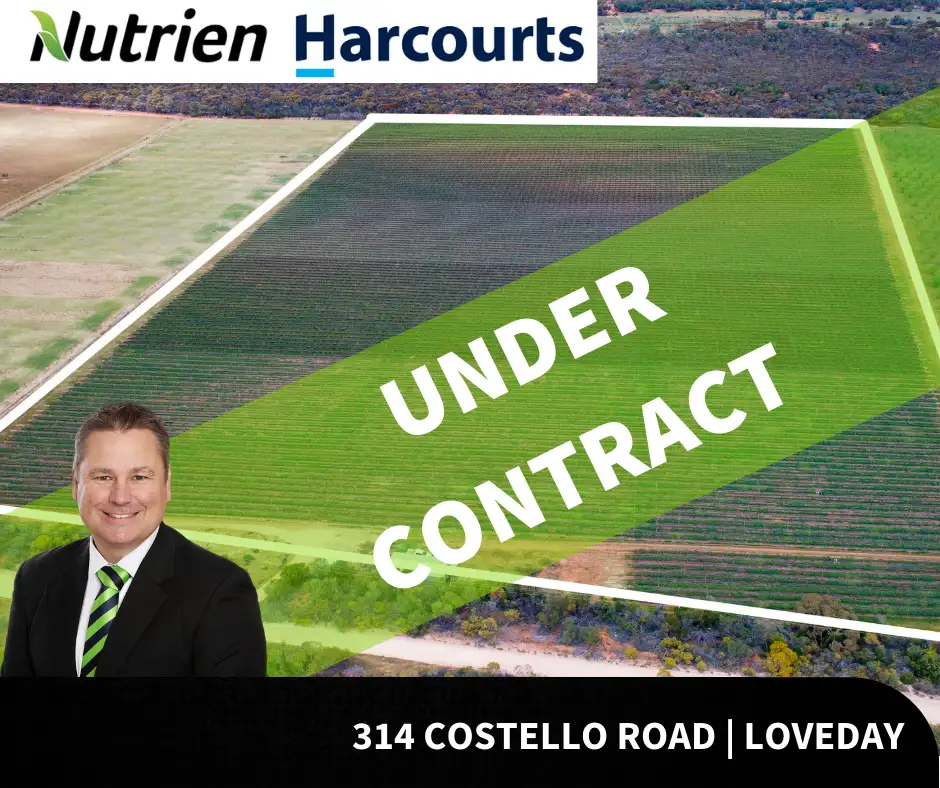 Main view of Homely rural property listing, 314 Costello Road, Loveday SA 5345