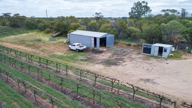 Third view of Homely rural property listing, 314 Costello Road, Loveday SA 5345