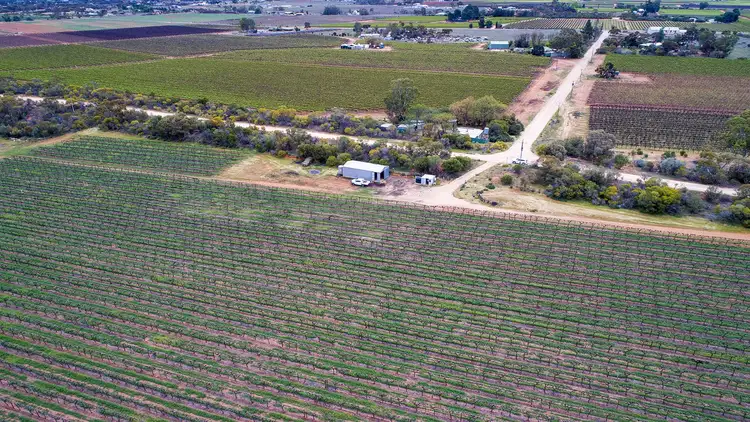Fifth view of Homely rural property listing, 314 Costello Road, Loveday SA 5345