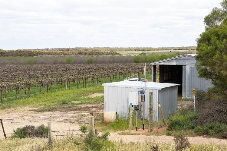 Seventh view of Homely rural property listing, 314 Costello Road, Loveday SA 5345