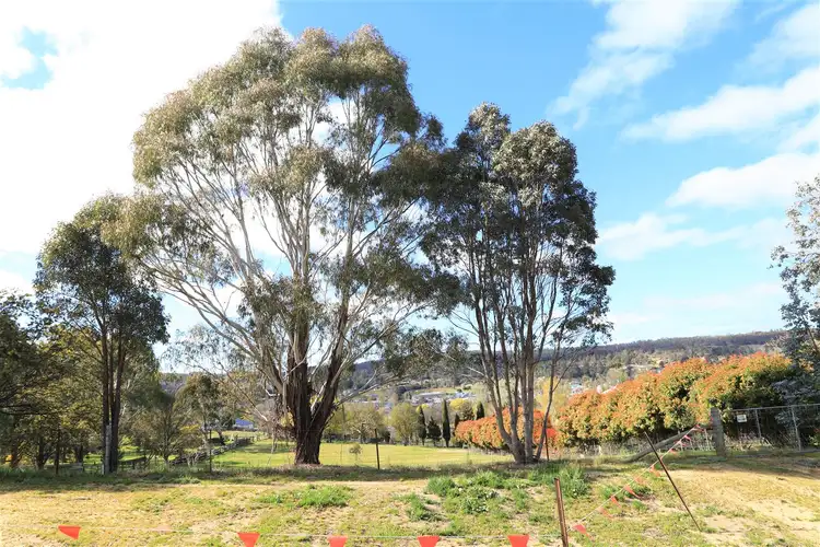 Fourth view of Homely land listing, 44-46 Queen Street, Bombala NSW 2632