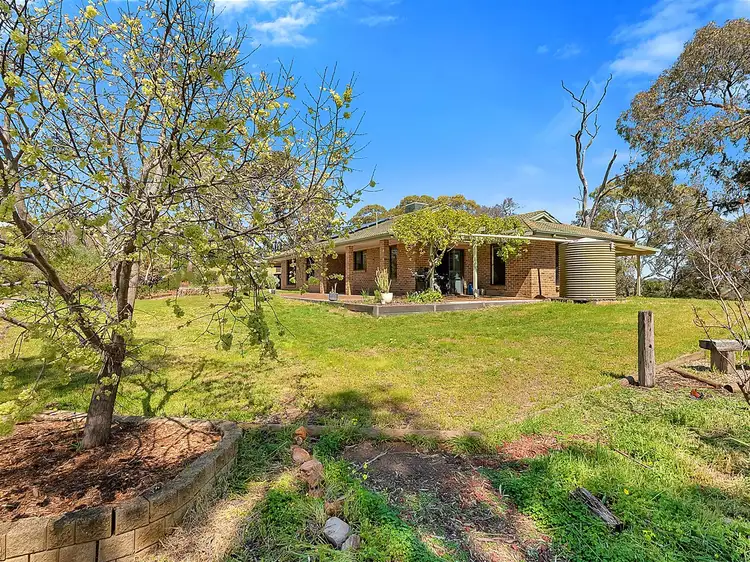 Main view of Homely house listing, 111 McGilp Road, One Tree Hill SA 5114