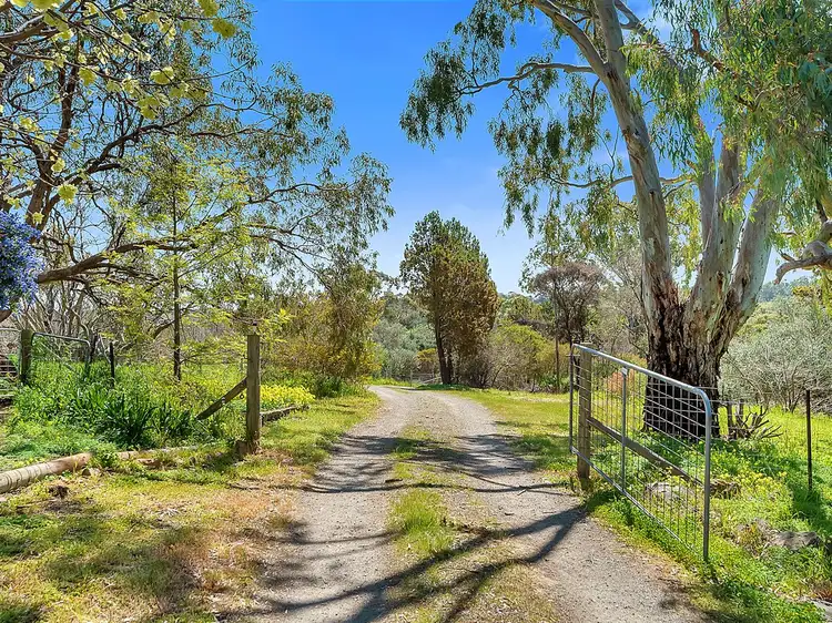 Fifth view of Homely house listing, 111 McGilp Road, One Tree Hill SA 5114