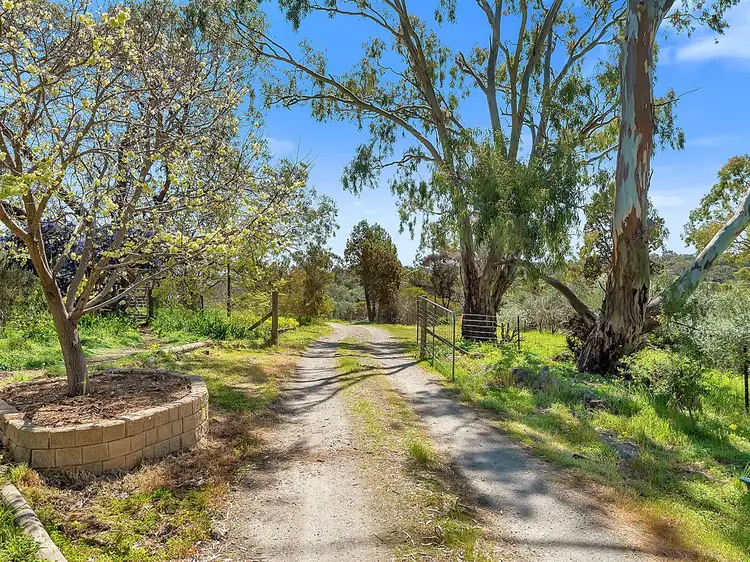 Sixth view of Homely house listing, 111 McGilp Road, One Tree Hill SA 5114