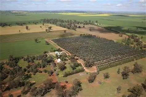 Third view of Homely rural property listing, 5178 Henry Lawson Way, Forbes NSW 2871