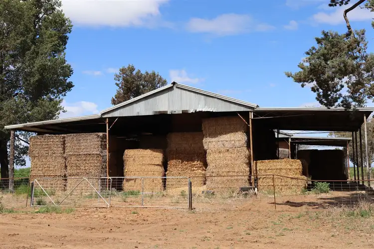 Fourth view of Homely rural property listing, 5178 Henry Lawson Way, Forbes NSW 2871