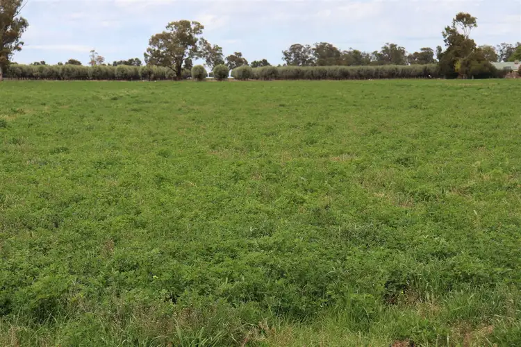 Fifth view of Homely rural property listing, 5178 Henry Lawson Way, Forbes NSW 2871