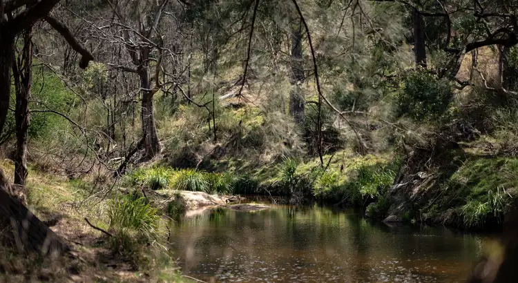9663 Bruxner Highway, Tenterfield NSW 2372