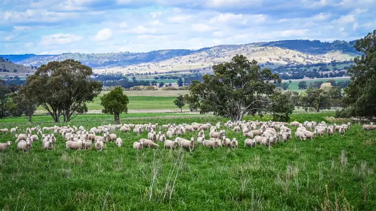 'Yattendon' 601 Gundare Rd, Coolah NSW 2843