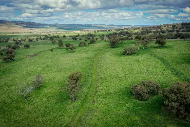 Third view of Homely rural property listing, 'Yattendon' 601 Gundare Rd, Coolah NSW 2843