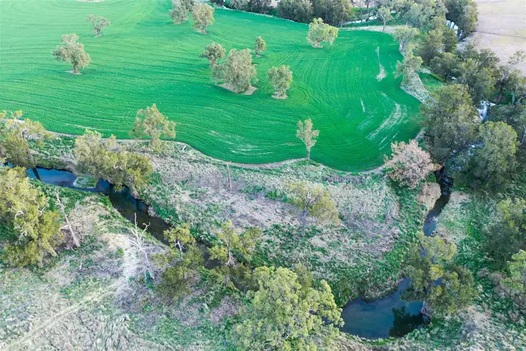 Seventh view of Homely rural property listing, 'Yattendon' 601 Gundare Rd, Coolah NSW 2843