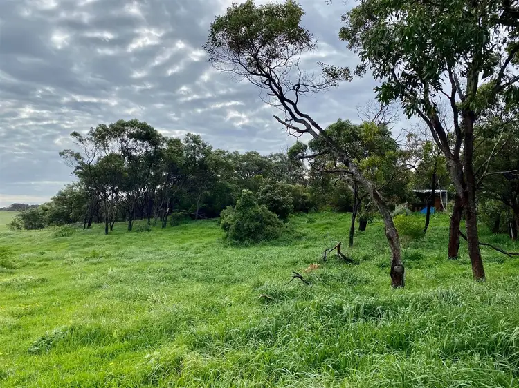 Fifth view of Homely rural property listing, CA21 Portland - Nelson Road, Nelson VIC 3292