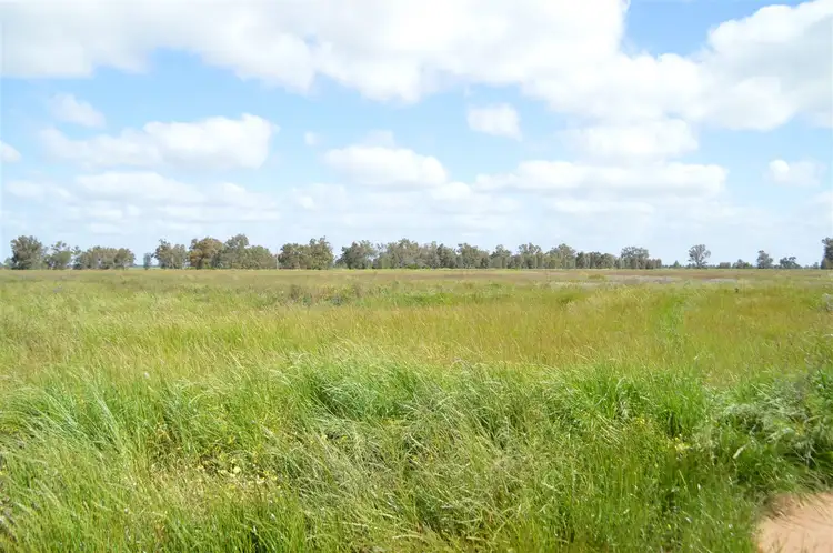 Third view of Homely rural property listing, Euroka Morangarell Road, Quandialla NSW 2721
