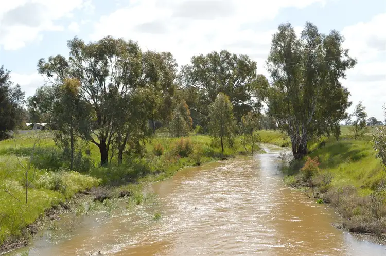 Fourth view of Homely rural property listing, Euroka Morangarell Road, Quandialla NSW 2721
