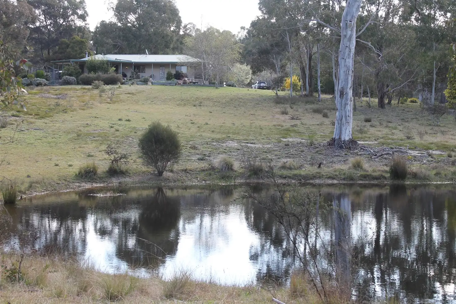 Main view of Homely rural property listing, 1099 Little River Road, Braidwood NSW 2622