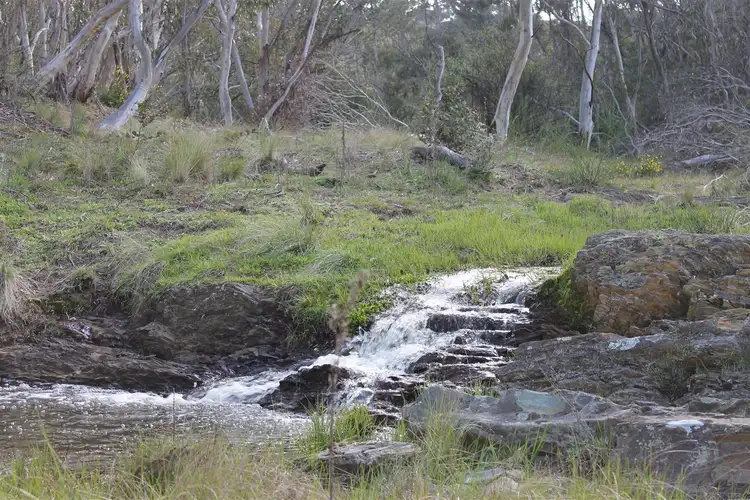 Second view of Homely rural property listing, 1099 Little River Road, Braidwood NSW 2622