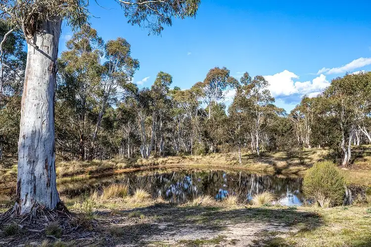 Third view of Homely rural property listing, 1099 Little River Road, Braidwood NSW 2622