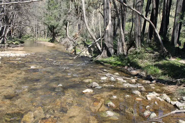 5305 Araluen Road, Braidwood NSW 2622