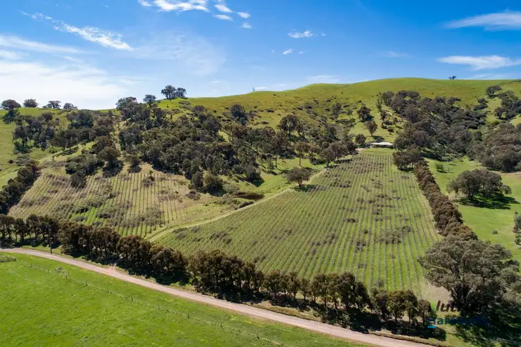 Main view of Homely rural property listing, 79 Siers Lane, Limestone VIC 3717