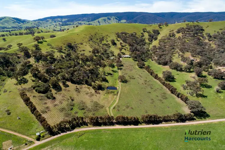 Second view of Homely rural property listing, 79 Siers Lane, Limestone VIC 3717