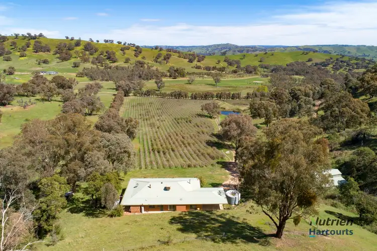 Fifth view of Homely rural property listing, 79 Siers Lane, Limestone VIC 3717