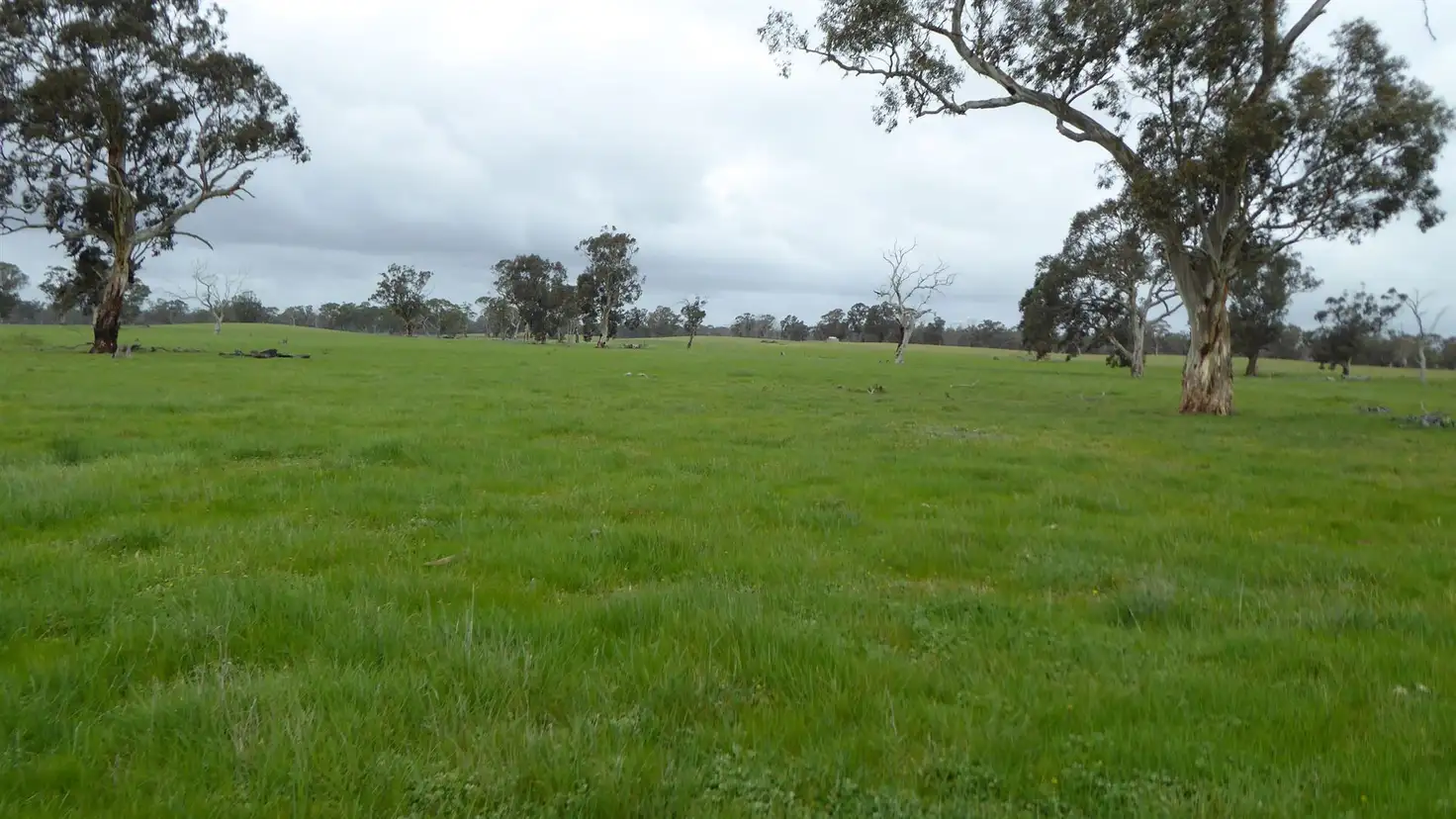 Main view of Homely rural property listing, Sec 21 Walkington Hills Road, Frances SA 5262