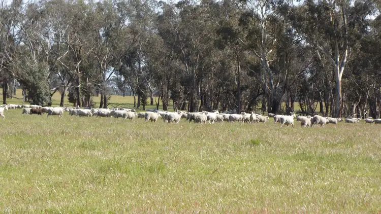 Seventh view of Homely rural property listing, Sec 21 Walkington Hills Road, Frances SA 5262