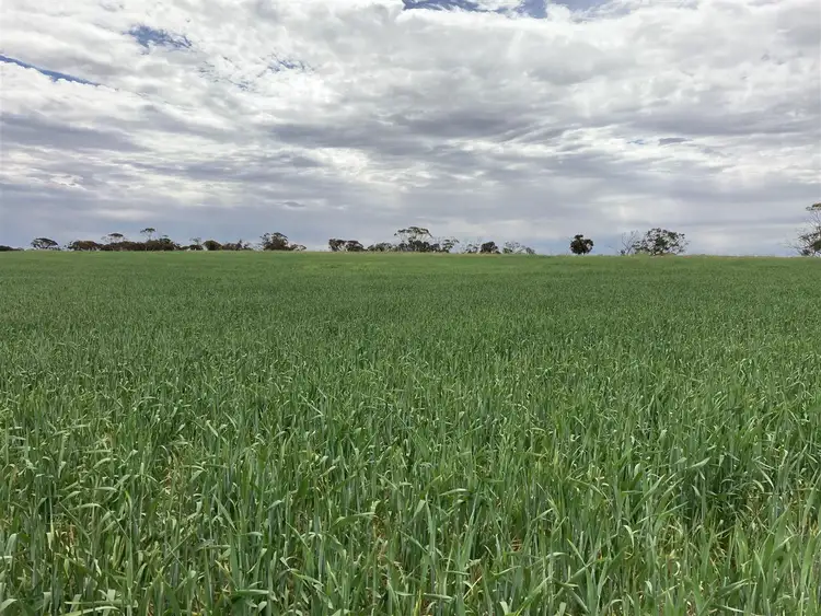 Second view of Homely rural property listing, 414 Lawrie Road, Rudall SA 5642