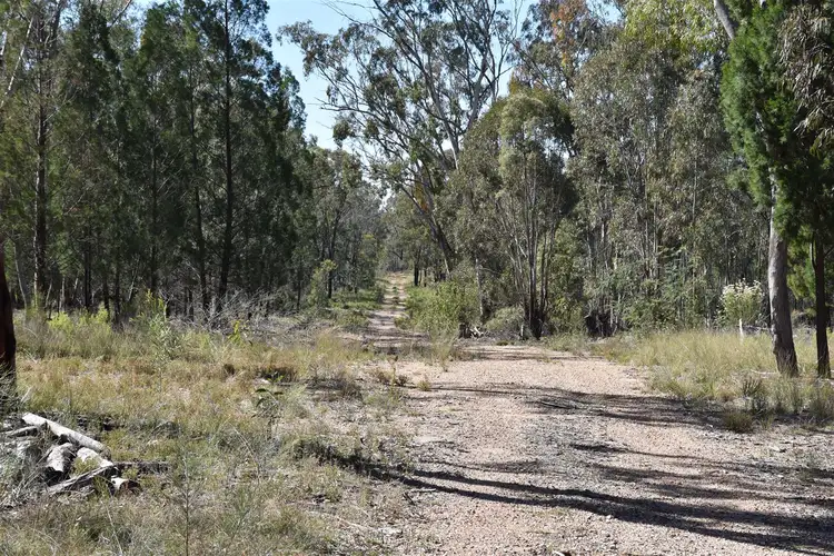 0 Leyburn Forestry Road, Leyburn QLD 4365