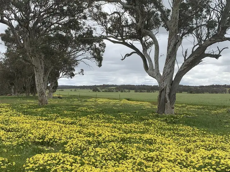 Main view of Homely rural property listing, 444 Halls Road, Narrogin WA 6312