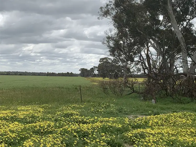 Second view of Homely rural property listing, 444 Halls Road, Narrogin WA 6312