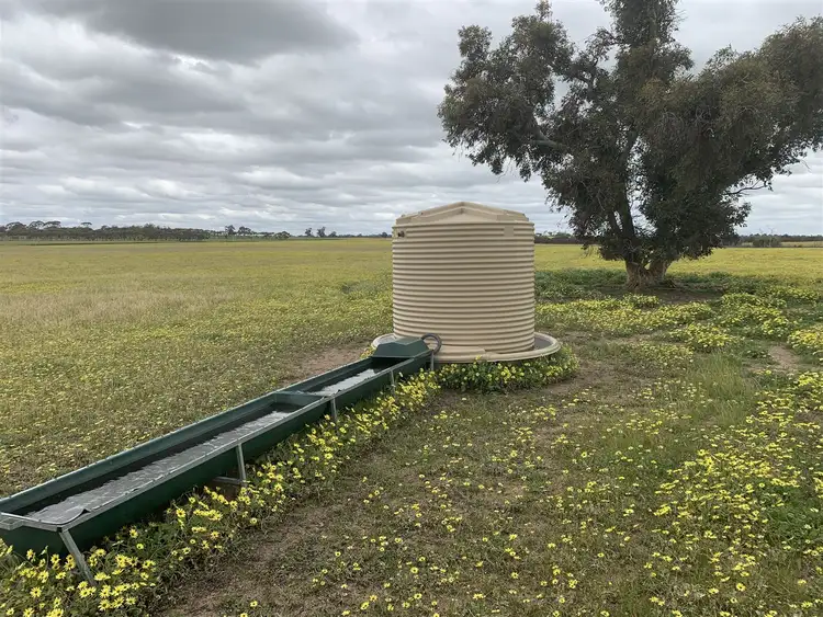 Third view of Homely rural property listing, 444 Halls Road, Narrogin WA 6312