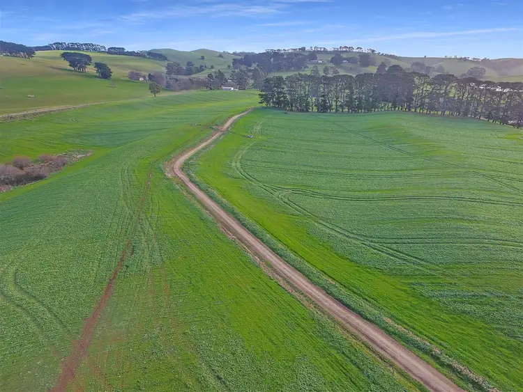 Sixth view of Homely rural property listing, 2255 Meeniyan Mirboo North Road, Mirboo North VIC 3871