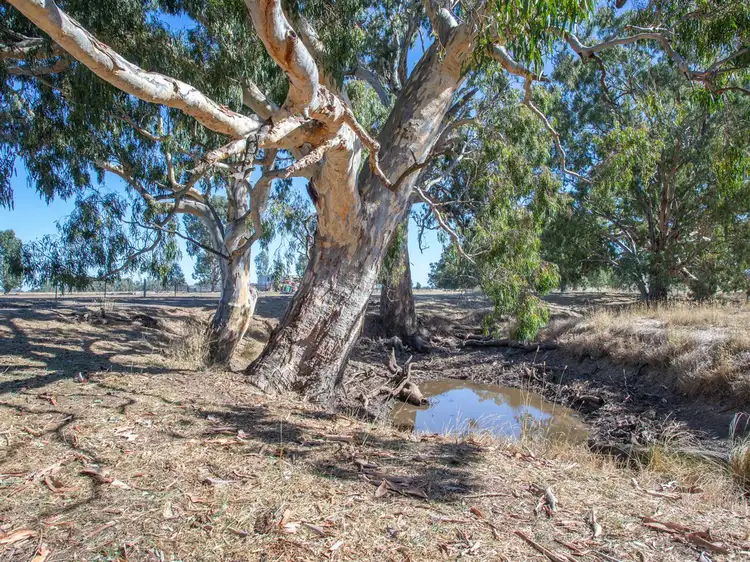Second view of Homely rural property listing, 454 Webb Rd, Goomalibee VIC 3673