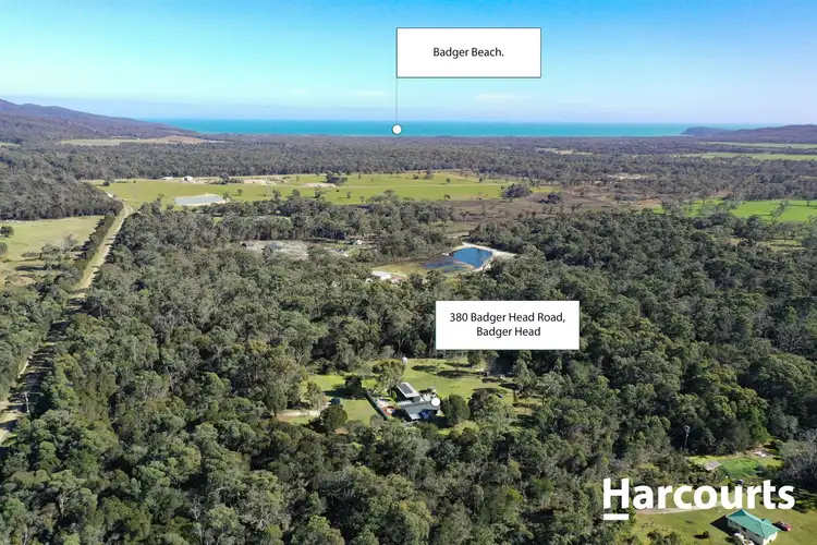 Second view of Homely house listing, 380 Badger Head Road, Badger Head TAS 7270