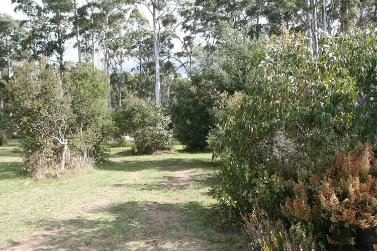 Main view of Homely land listing, 12 Gray Road, St Marys TAS 7215