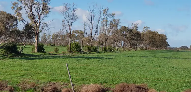 Second view of Homely rural property listing, 8 Safe Road, Koroop VIC 3579