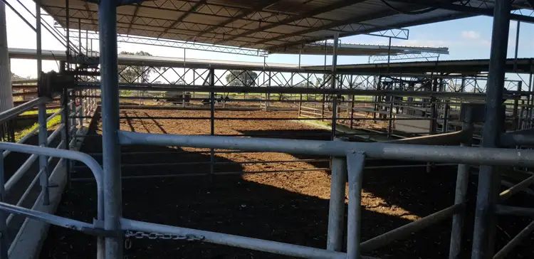 Third view of Homely rural property listing, 8 Safe Road, Koroop VIC 3579