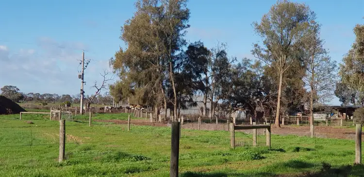 Seventh view of Homely rural property listing, 8 Safe Road, Koroop VIC 3579