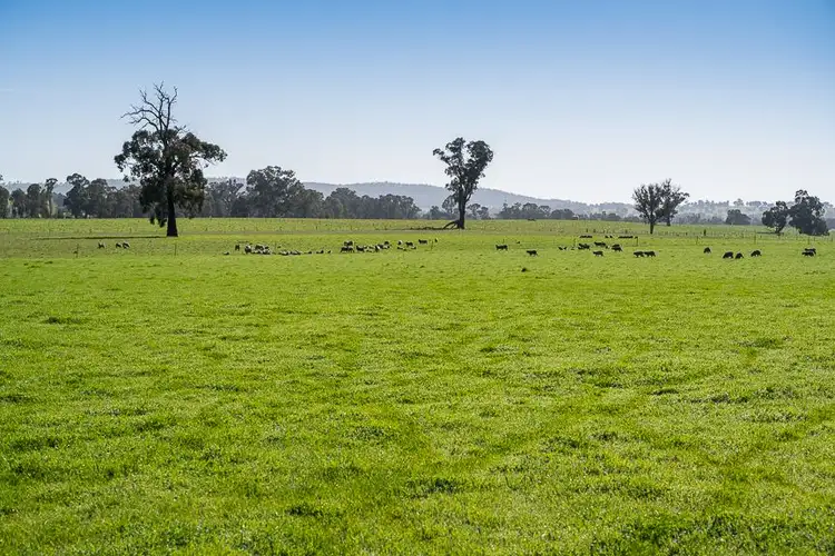 Fourth view of Homely rural property listing, CA 21 Jensen Lane, Lima VIC 3673