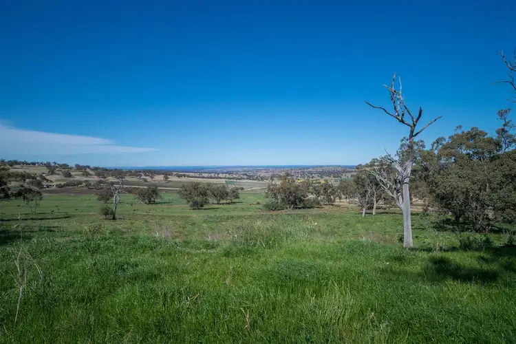 Third view of Homely rural property listing, 'Hewitts' Borambil Racecourse Rd, Cassilis NSW 2329