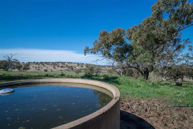 Fifth view of Homely rural property listing, 'Hewitts' Borambil Racecourse Rd, Cassilis NSW 2329