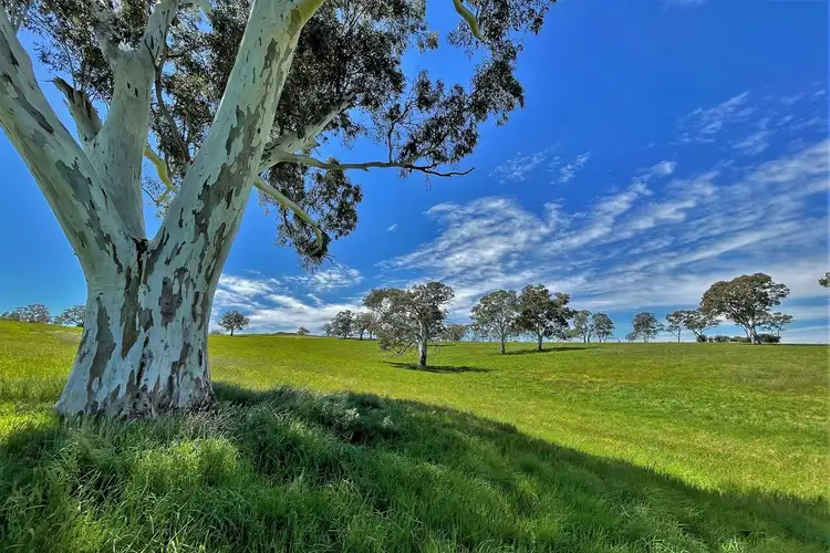 103 Blacksnake Road, Birdwood SA 5234