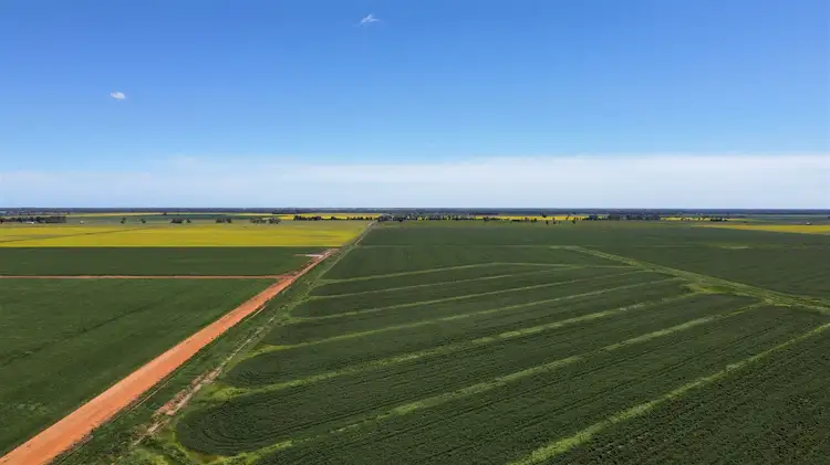 Third view of Homely rural property listing, 968 McKenzie Road, Echuca VIC 3564
