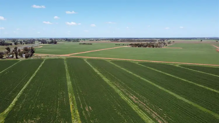 Fourth view of Homely rural property listing, 968 McKenzie Road, Echuca VIC 3564