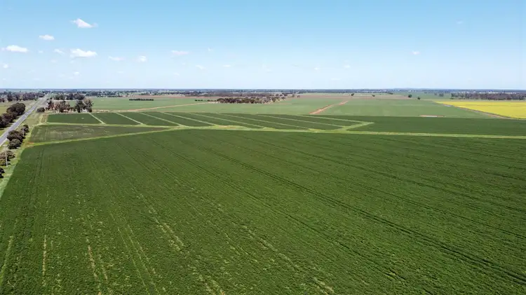 Fifth view of Homely rural property listing, 968 McKenzie Road, Echuca VIC 3564