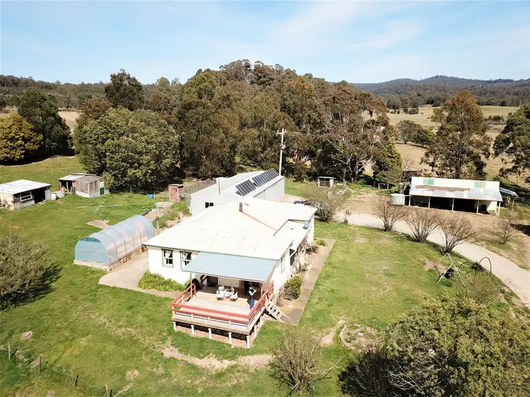 Main view of Homely house listing, 381 Haydens Bog Road, Bendoc VIC 3888