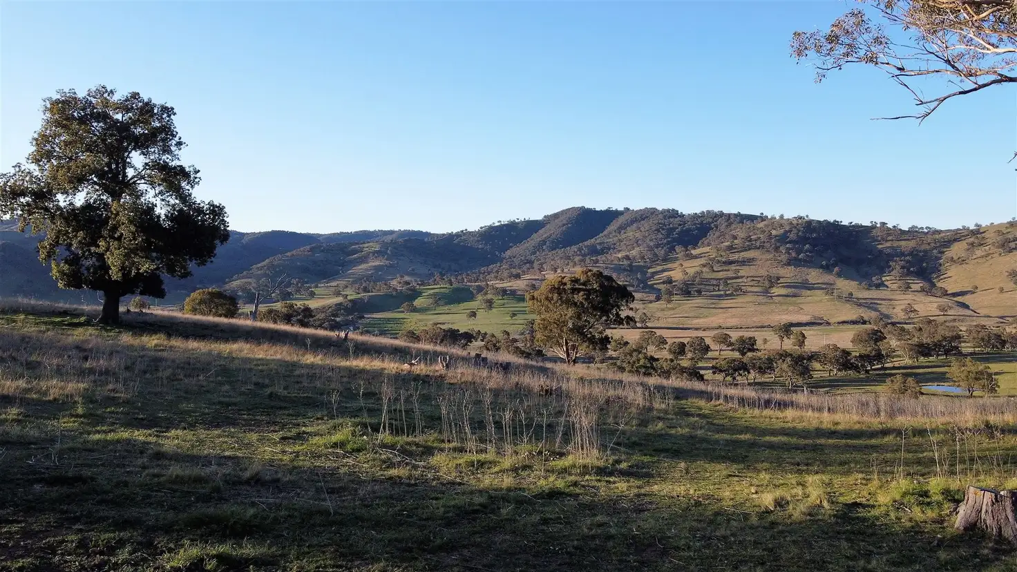 Main view of Homely rural property listing, 1141 Crudine Road Crudine, Mudgee NSW 2850