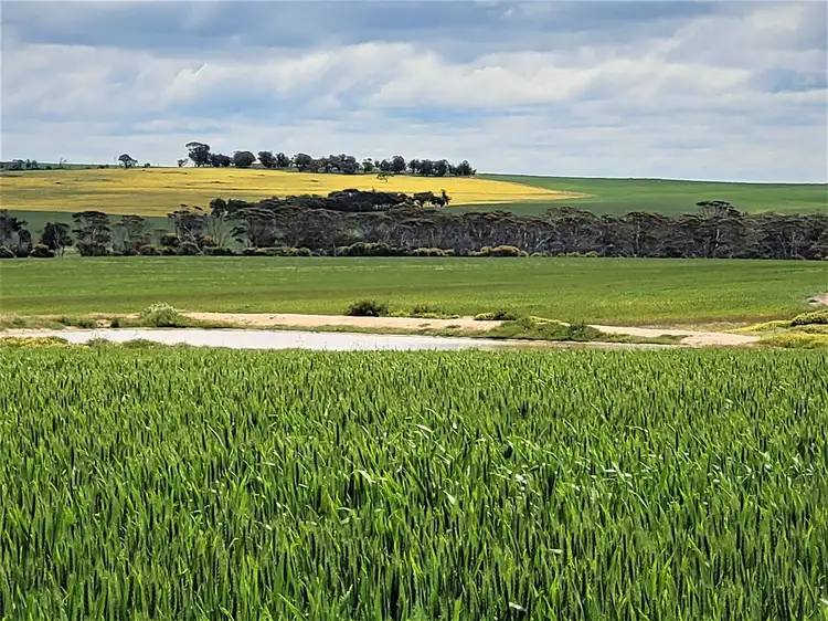 Main view of Homely rural property listing, ' Smiths & Wernup', Katanning WA 6317